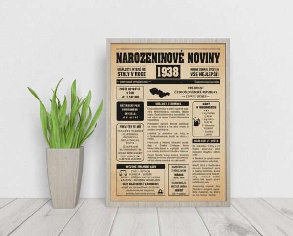 Narozeninové noviny 1938