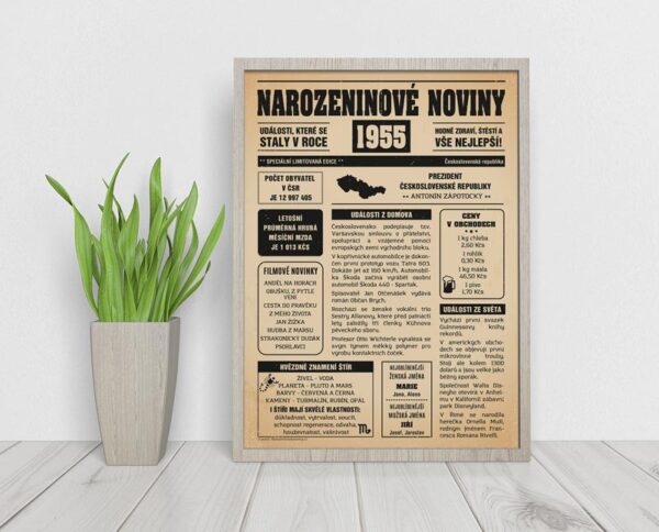 Narozeninové noviny 1955 - obraz